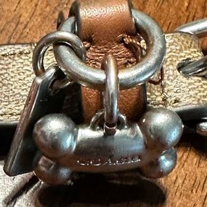 Coach Dog Collar Sm
